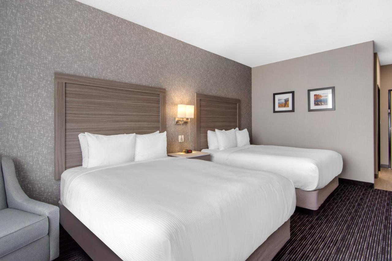 Comfort Inn & Suites North Battleford Exterior foto